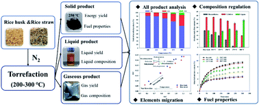 Graphical abstract: Comprehensive research on the solid, liquid, and gaseous products of rice husk and rice straw torrefaction