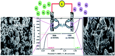 Graphical abstract: The structure–activity correlation of bifunctional MnO2 polymorphoric and MoS2-based heterostructures: a highly efficient, robust electrochemical water oxidation and reduction reaction catalyst in alkaline pH