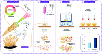 Graphical abstract: Ultrasonic induced mechanoacoustic effect on delignification of rice straw for cost effective biopretreatment and biomethane recovery