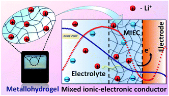 Graphical abstract: Li+–Zn2+ tailored nanostructured metallohydrogel based mixed ionic–electronic conductors
