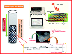 Graphical abstract: The functionalization of polyacrylamide with MoS2 nanoflakes for use in transient photodetectors