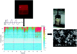 Graphical abstract: Identification of carbon deposition and its removal in solid oxide fuel cells by applying a non-conventional diagnostic tool