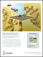 Graphical abstract: Inside back cover