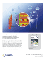 Graphical abstract: Back cover