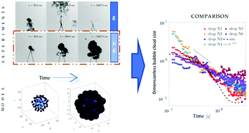 Graphical abstract: Growth of a bubble cloud in CO2-saturated water under microgravity