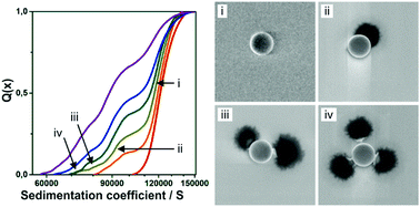 Graphical abstract: Probing particle heteroaggregation using analytical centrifugation