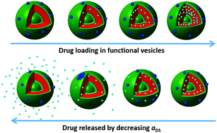Graphical abstract: Encapsulation and release of drug nanoparticles in functional polymeric vesicles