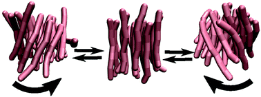 Graphical abstract: Chiral structure fluctuations predicted by a coarse-grained model of peptide aggregation