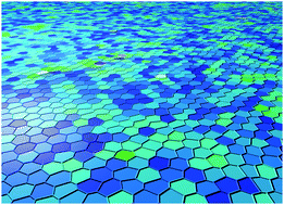 Graphical abstract: Hexatic phase in a model of active biological tissues