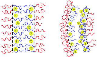 Graphical abstract: Diblock copolymer templated self-assembly of grafted nanoparticles under circular pore confinement