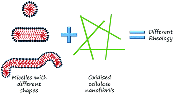 Graphical abstract: Impact of wormlike micelles on nano and macroscopic structure of TEMPO-oxidized cellulose nanofibril hydrogels