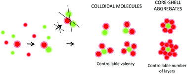 Graphical abstract: Self-assembly of finite-sized colloidal aggregates