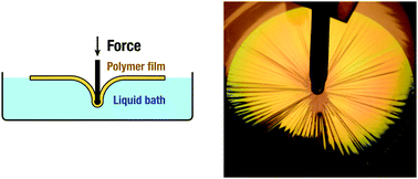 Graphical abstract: Geometry underlies the mechanical stiffening and softening of an indented floating film