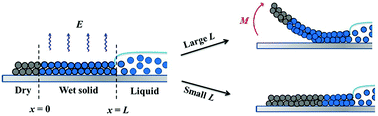 Graphical abstract: Controlling the drying-induced peeling of colloidal films