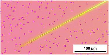 Graphical abstract: Supramolecular microtubes based on 1,3,5-benzenetricarboxamides prepared by self-assembly upon heating