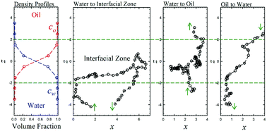 Graphical abstract: Partition of nanoswimmers between two immiscible phases: a soft and penetrable boundary