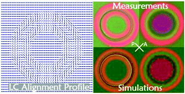 Graphical abstract: Ring-shaped liquid crystal structures through patterned planar photo-alignment