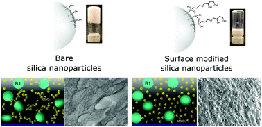 Graphical abstract: On the effect of particle surface chemistry in film stratification and morphology regulation