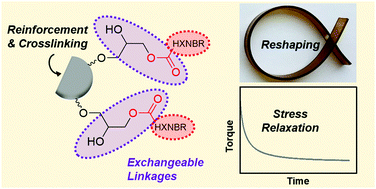 Graphical abstract: Design and characterisation of vitrimer-like elastomeric composites from HXNBR rubber