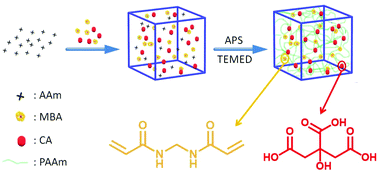 Graphical abstract: Single network double cross-linker (SNDCL) hydrogels with excellent stretchability, self-recovery, adhesion strength, and conductivity for human motion monitoring