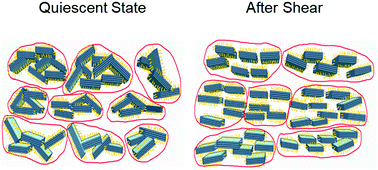 Graphical abstract: Correlation of the hierarchical structure with rheological behavior of polypseudorotaxane gel composed of pluronic and β-cyclodextrin