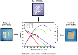 Graphical abstract: Protonated state and synergistic role of Nd3+ doped barium cerate perovskite for the enhancement of ionic pathways in novel sulfonated polyethersulfone for H2/O2 fuel cells