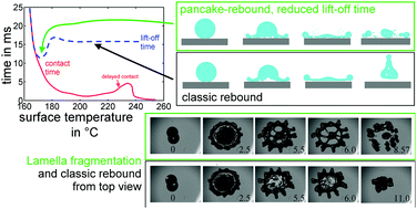 Graphical abstract: Drop impact on hot plates: contact times, lift-off and the lamella rupture