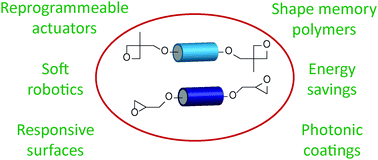 Graphical abstract: Epoxide and oxetane based liquid crystals for advanced functional materials