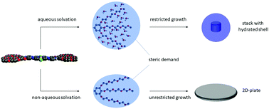 Graphical abstract: Morphology control in metallosupramolecular assemblies through solvent-induced steric demand