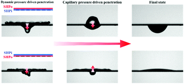 Graphical abstract: Water penetration dynamics through a Janus mesh during drop impact