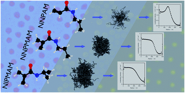 Graphical abstract: Smart microgels investigated by super-resolution fluorescence microscopy: influence of the monomer structure on the particle morphology