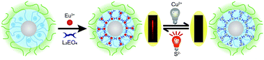 Graphical abstract: Europium based coordination polyelectrolytes enable core–shell–corona micelles as luminescent probes