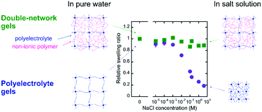 Graphical abstract: Double-network gels as polyelectrolyte gels with salt-insensitive swelling properties