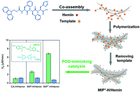 Graphical abstract: Molecularly imprinted peptide-based enzyme mimics with enhanced activity and specificity