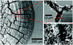 Graphical abstract: Crack density in bloodstains