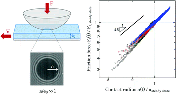 Graphical abstract: Transient sliding of thin hydrogel films: the role of poroelasticity