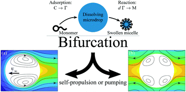 Graphical abstract: Adsorption inhibition by swollen micelles may cause multistability in active droplets