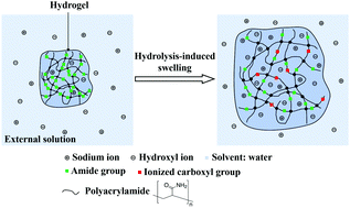 Graphical abstract: Hydrolysis-induced large swelling of polyacrylamide hydrogels