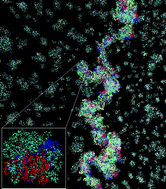 Graphical abstract: Complexation of single stranded RNA with an ionizable lipid: an all-atom molecular dynamics simulation study