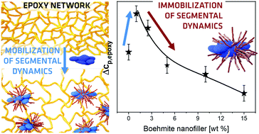 Graphical abstract: Competition of nanoparticle-induced mobilization and immobilization effects on segmental dynamics of an epoxy-based nanocomposite
