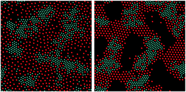 Graphical abstract: Synchronized fractionation and phase separation in binary colloids