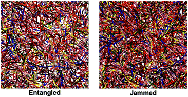 Graphical abstract: Two-stage athermal solidification of semiflexible polymers and fibers