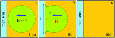 Graphical abstract: Dynamics of island-meniscus coalescence in free-standing smectic films