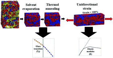 Graphical abstract: Elasto-morphology of P3HT:PCBM bulk heterojunction organic solar cells