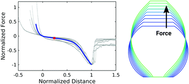 Graphical abstract: Detachment of giant liposomes – coupling of receptor mobility and membrane shape