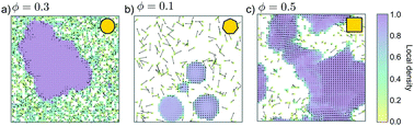 Graphical abstract: Particle anisotropy tunes emergent behavior in active colloidal systems