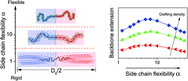 Graphical abstract: The influence of side-chain conformations on the phase behavior of bottlebrush block polymers