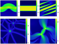 Graphical abstract: Pattern formation in active model C with anchoring: bands, aster networks, and foams