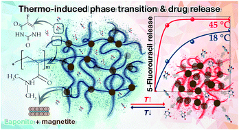 Graphical abstract: Thermoresponsive hydrogels physically crosslinked with magnetically modified LAPONITE® nanoparticles