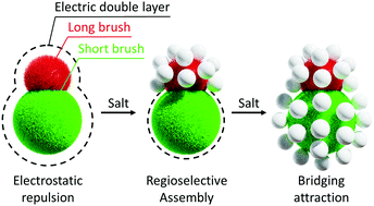 Graphical abstract: Selective colloidal bonds via polymer-mediated interactions